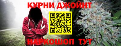 гидра Бузулук
